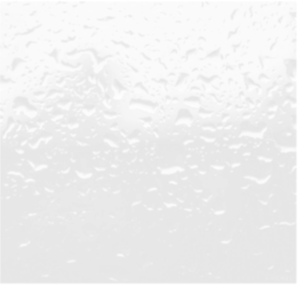 Бизнес план - 2 секция